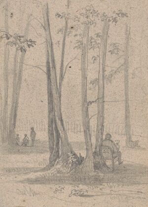 Man sitting in a chair among a cluster of trees, others nearby (1840-1860)