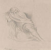 Yellow-billed cuckoo (1874)