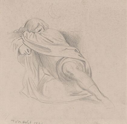 Yellow-billed cuckoo (1874)