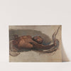 Man Struggling with a Boa Constrictor, Study for &#039;The Liboya Serpent Seizing His Prey&#039; by James Ward