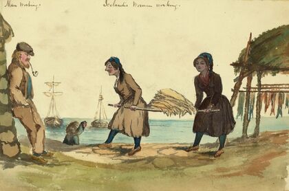 Man working – Icelandic women working
