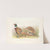 Manchurian Ring-necked Pheasant (Phasianus colchicus pallasi). (1918-1922) by Henry Jones