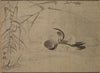 Mandarin Duck (1500s)