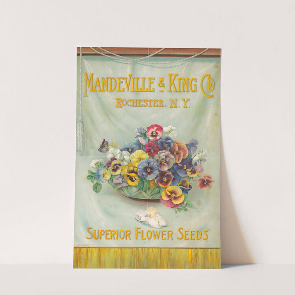 Mandeville & King Co., superior flower seeds [bowl of pansies] (1908) by Alois Lunzer