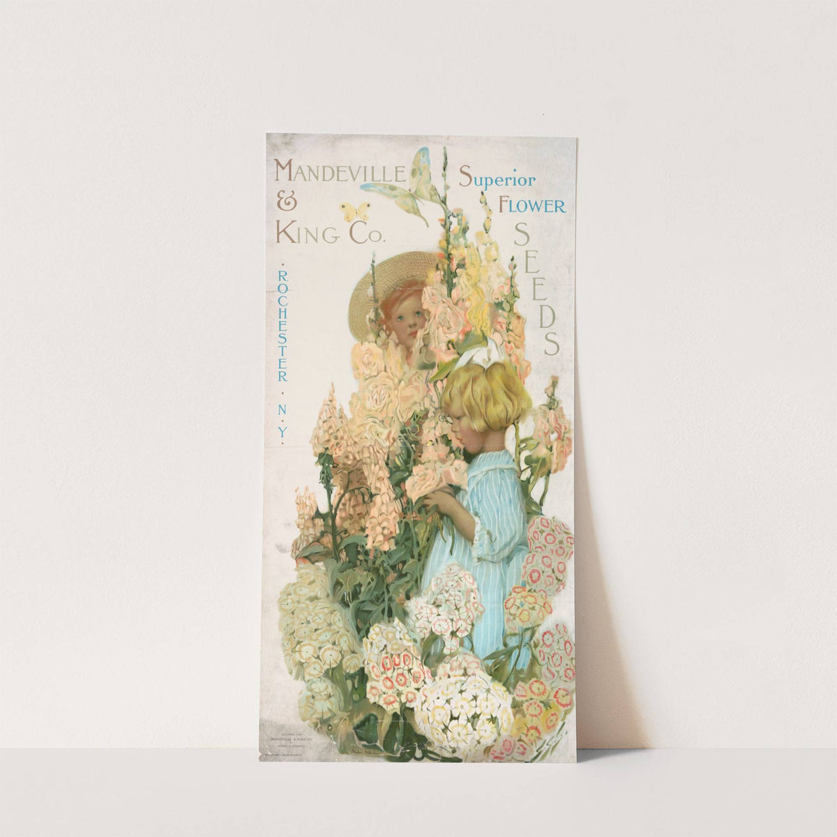 Mandeville &amp; King Co., superior flower seeds by Sarah Stilwell Weber