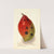 Mangifera indica: Ameeri; Amiri by Ellen Isham Schutt