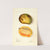 Mangifera indica: Pere Louis by Elsie E. Lower