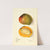 Mangifera indica: Rajabury by Elsie E. Lower