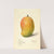Mangifera indica: Totafari by Mary Daisy Arnold