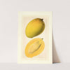 Mangifera indica: Totafarice by Ellen Isham Schutt