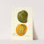 Mangifera indica: White Alphonse by Amanda Almira Newton
