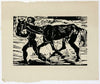 Mann Und Pferd