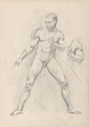 Männerakte (1888-1895)