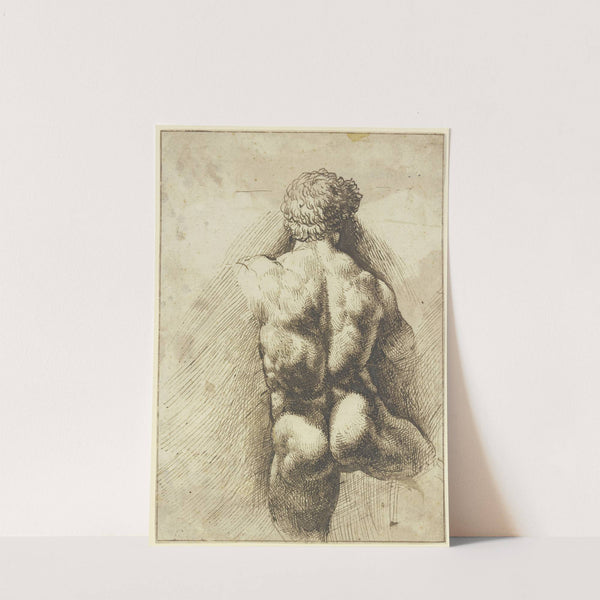 Männlicher Rückenakt, Torso (ca 1520-1525) by Domenico Campagnola