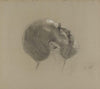 Mannshode (1870)