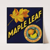 Maple Leaf Brand Citrus Label (1940s)