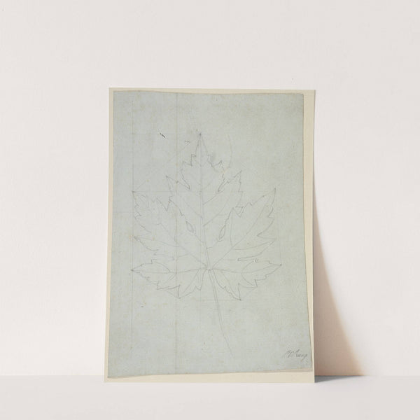 Maple leaf by Philipp Otto Runge
