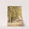 Maples in Chester County, Pennsylvania (1889) by William Trost Richards