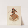Mar-Ko-Me-Te, A Menomene Brave (1838) by Charles Bird King