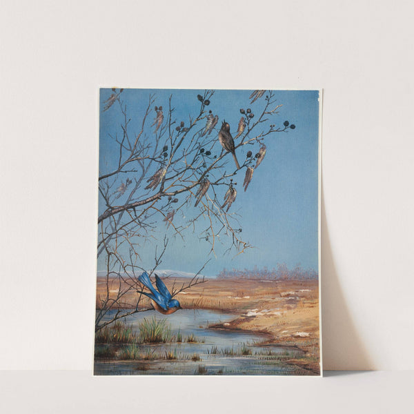 March by Fidelia Bridges