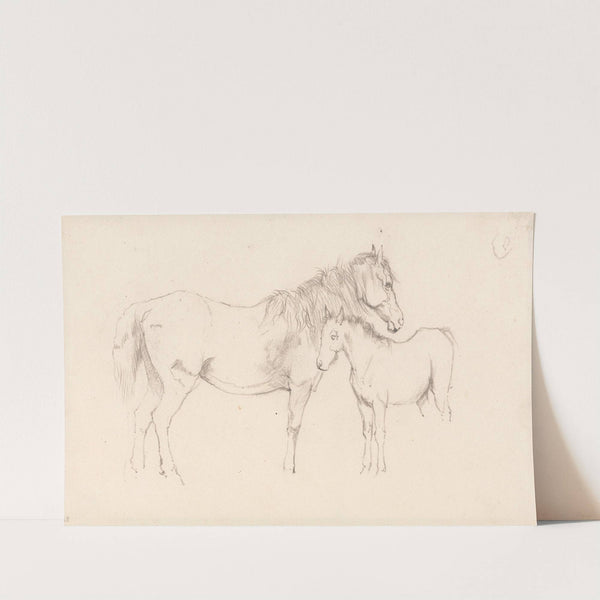 Mare and Foal by Arthur James Stark