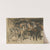 Mare And Foal by Joseph Crawhall