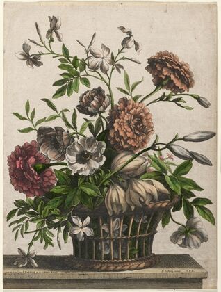 Marigolds, single Anemone, Jasmine… (c. 1680–95) — size preview