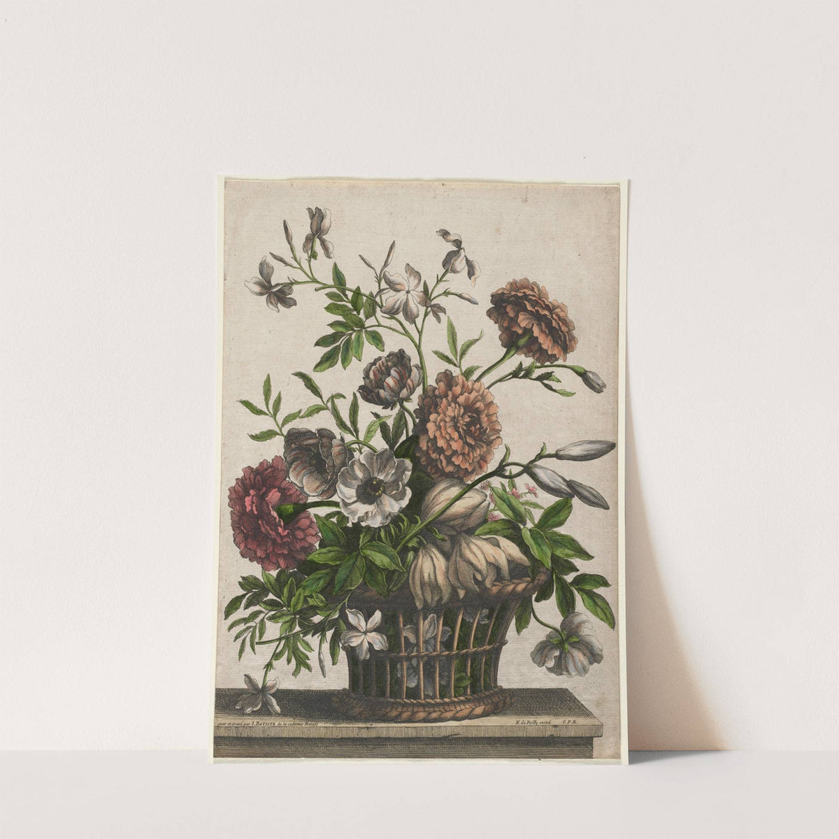 Marigolds, single Anemone, Jasmine… (c. 1680–95) by Jean-Baptiste Monnoyer