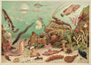 Marine life (1896)