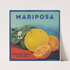 Mariposa Citrus Label (1930-1950)