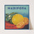 Mariposa Citrus Label (1930-1950)