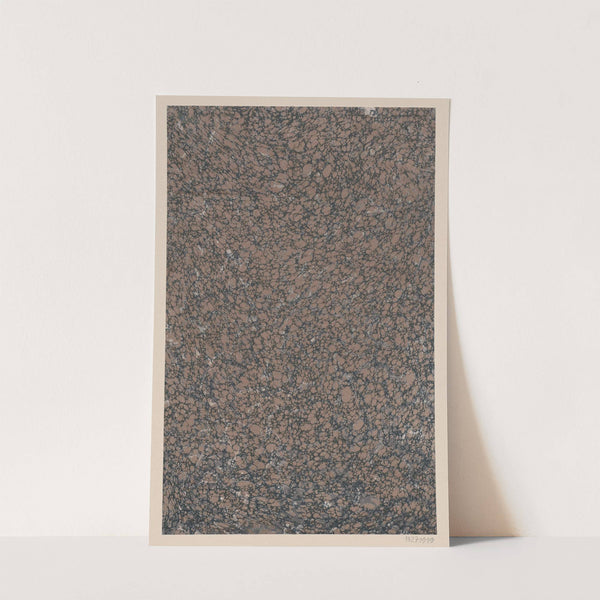 Marmorpapier (1900) by Andreas Haussmann