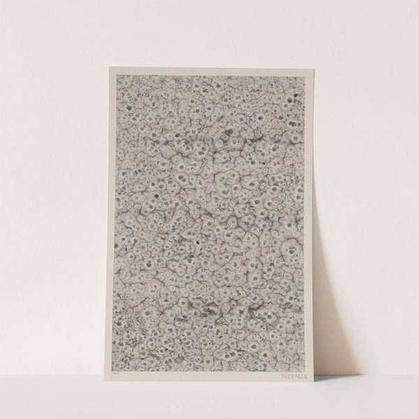 Marmorpapier (1900) by Lüderitz &amp; Bauer