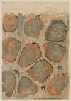 Marmorpapier (1894 - 1902)