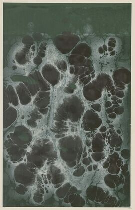 Marmorpapier (1894 - 1902)