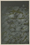 Marmorpapier (1894 - 1902)