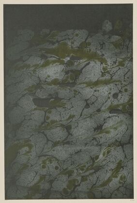 Marmorpapier (1894 - 1902)