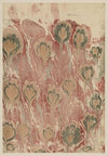 Marmorpapier (1894 - 1902)