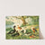 Marrecão, Patos, Marrecas by Emil August Göldi