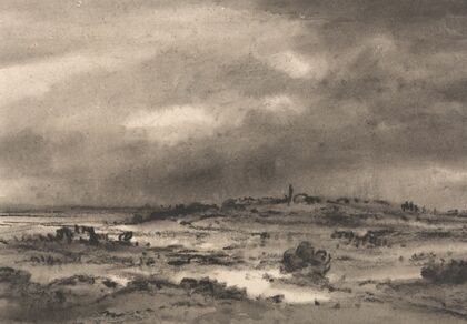 Marshland Landscape