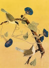 Maryland Yellowthroats