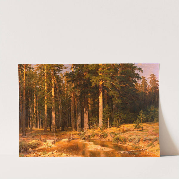 Mast-Tree grove by Ivan Ivanovich Shishkin