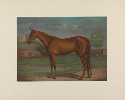 Maud S; The queen of the trotting turf