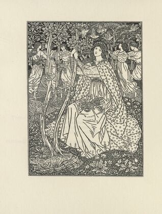 Maye (1896)