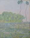 Meadow at Giverny (1894)