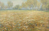 Meadow in Bloom