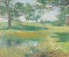 Meadows