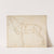Measured Drawing of a Horse Facing Left (ca. 1480–88) by Andrea del Verrocchio