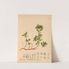 Medicinal Plants Pl.001 by Charles Frederick Millspaugh