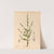Medicinal Plants Pl.093 by Charles Frederick Millspaugh